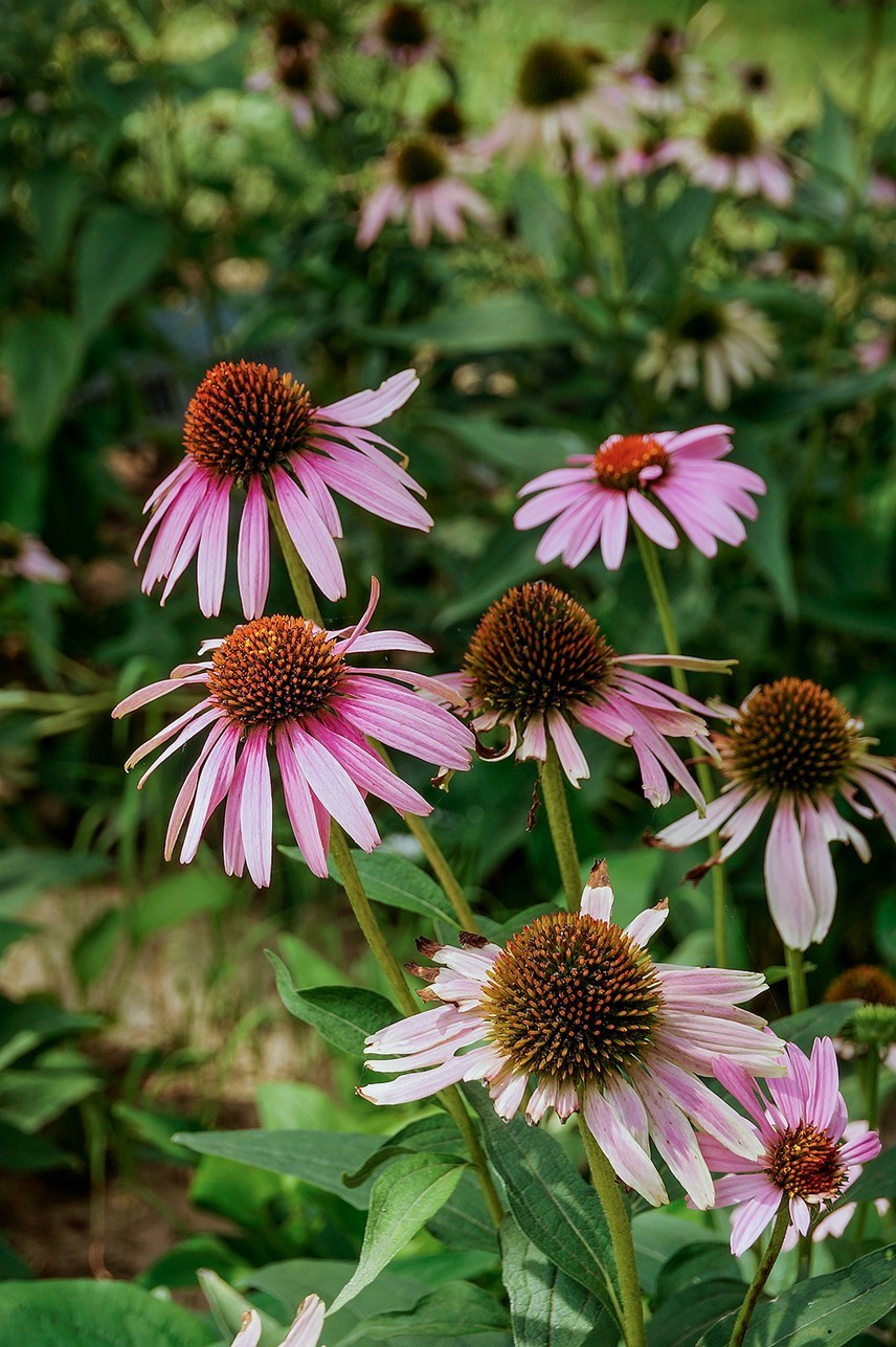 北京未来科学城滨水公园小景 二