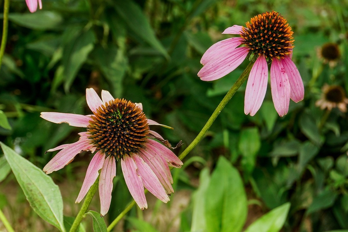 北京未来科学城滨水公园小景 二