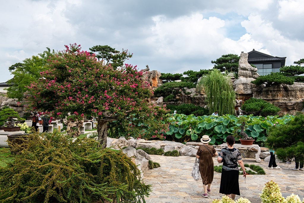 走进美丽的琅琊园