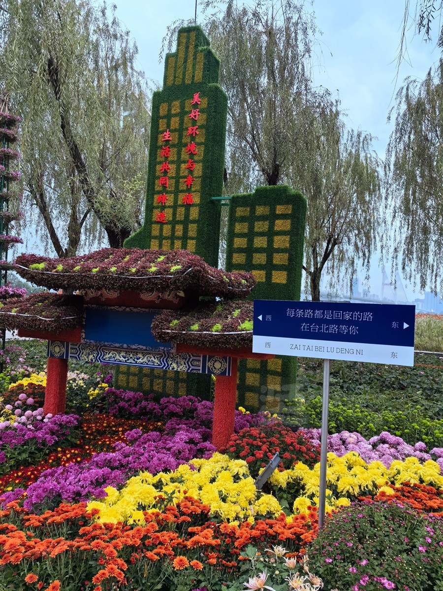 奔向未来*武汉第40届金秋菊展——武汉随笔