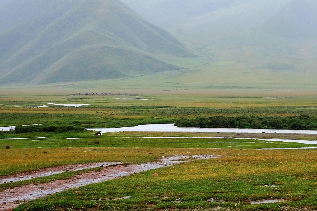 巴音布鲁克的记忆