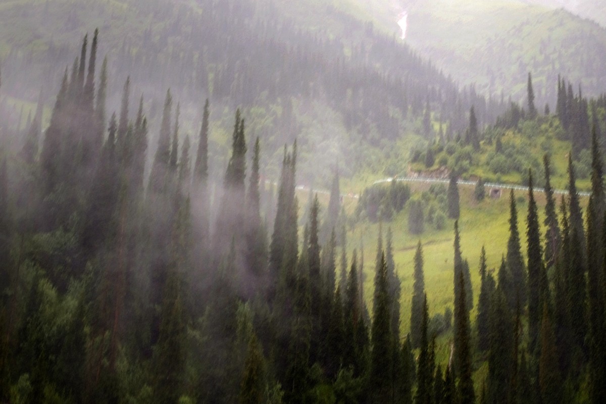 巴音布鲁克的记忆