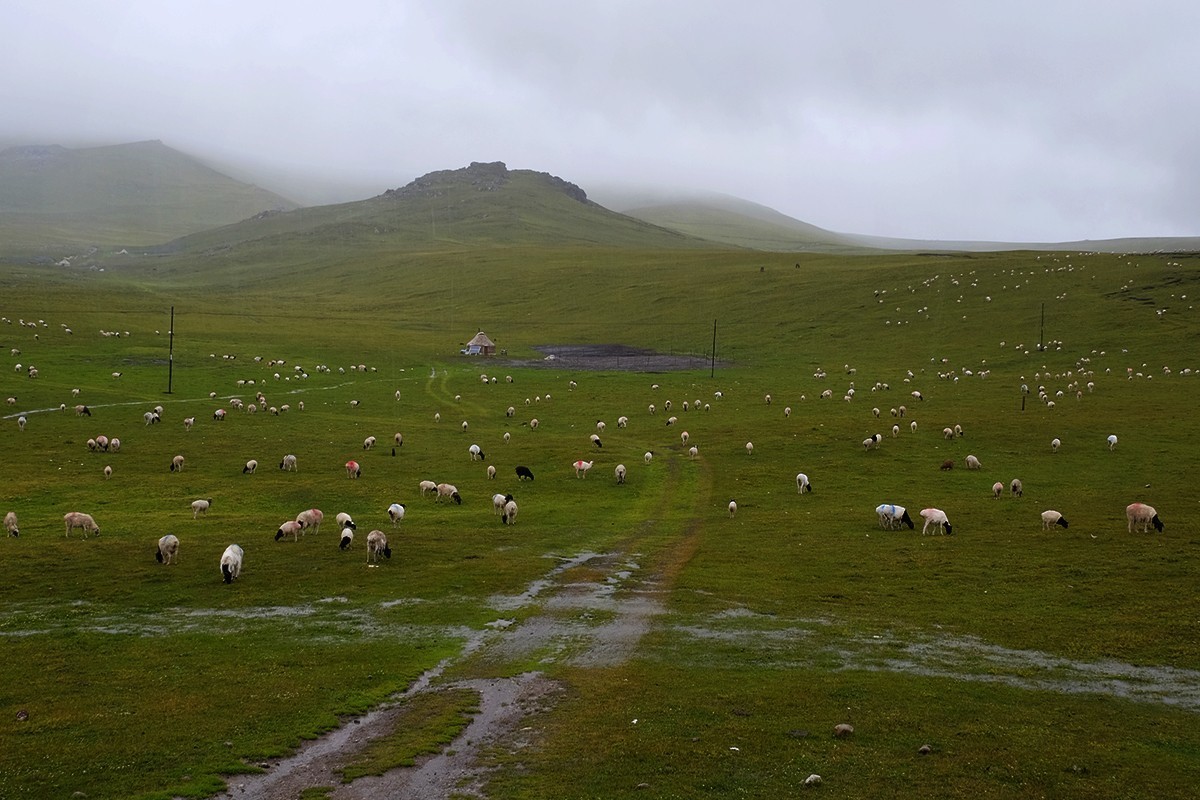 巴音布鲁克的记忆