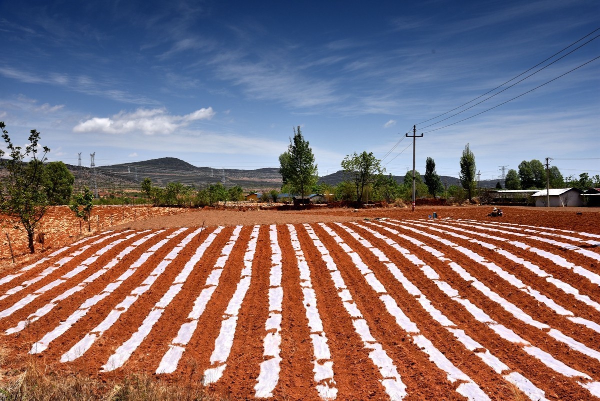 四川盐源红土地【1】