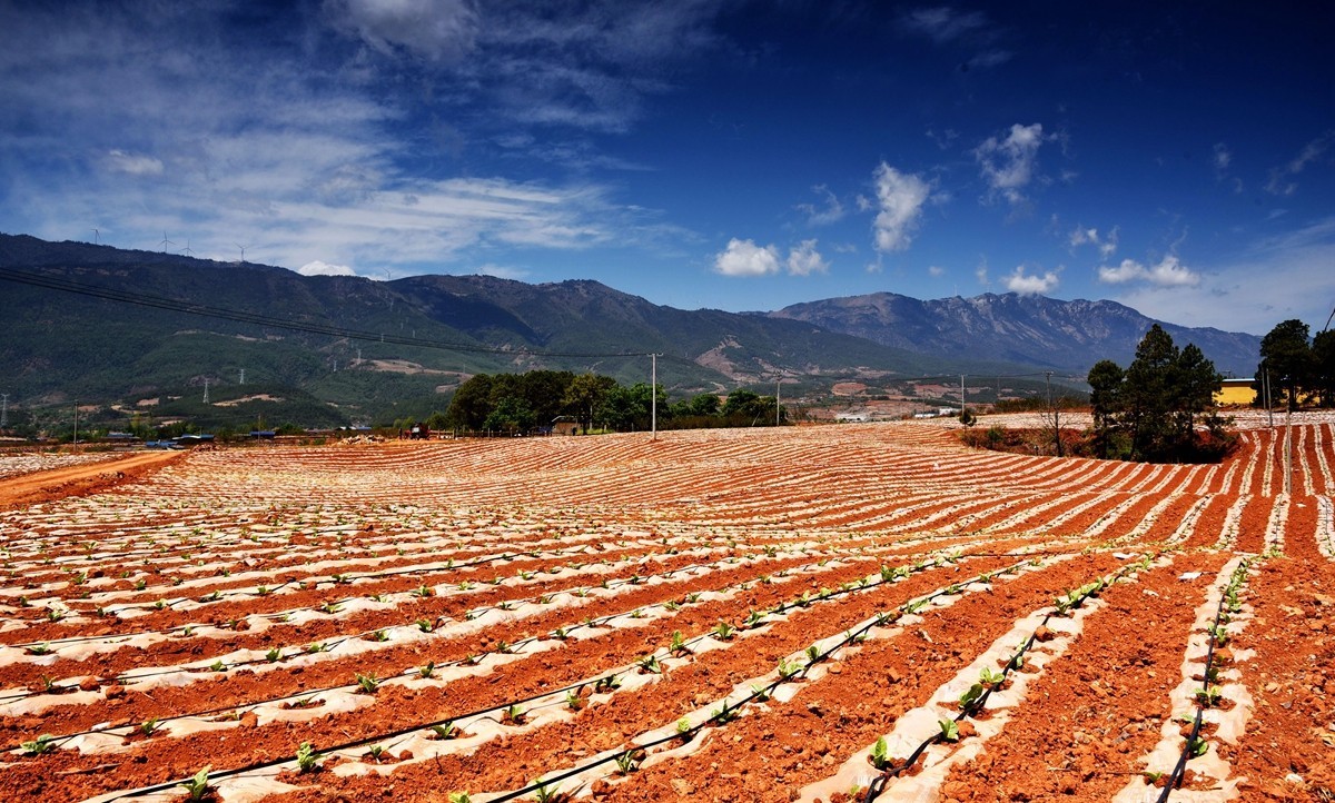 四川盐源红土地【1】
