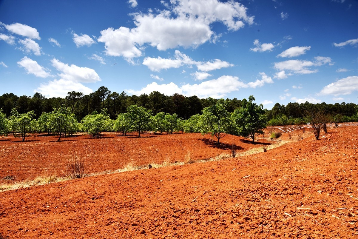 四川盐源红土地【1】