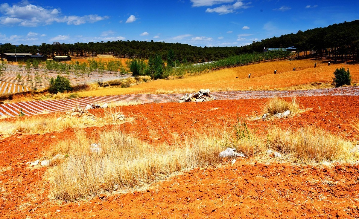 四川盐源红土地【1】