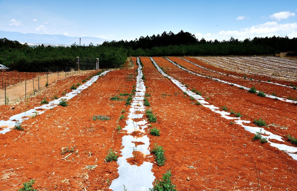 四川盐源红土地【1】