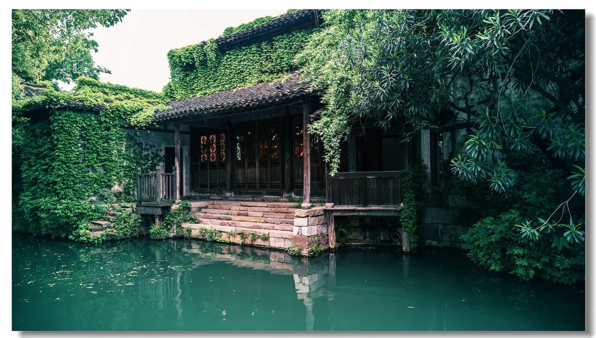 2023一一乌镇随拍