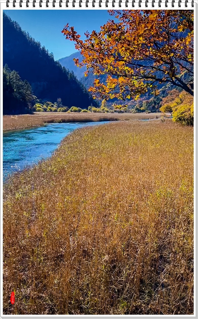 2024年- 九寨沟风光纪实抓拍-1050