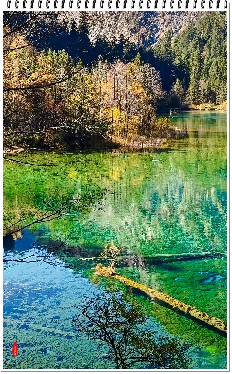 2024年- 九寨沟风光纪实抓拍-1050