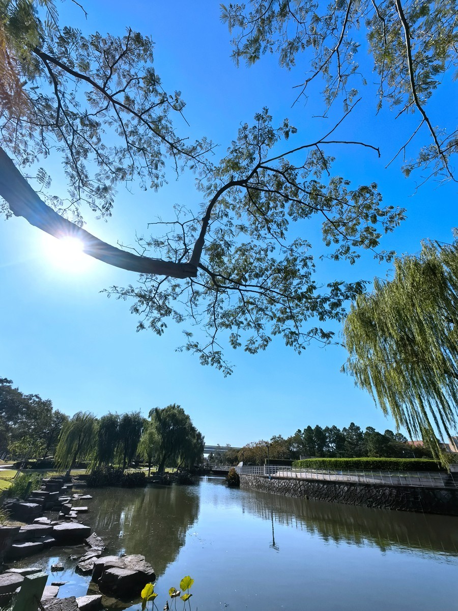 宁波帮公园随拍