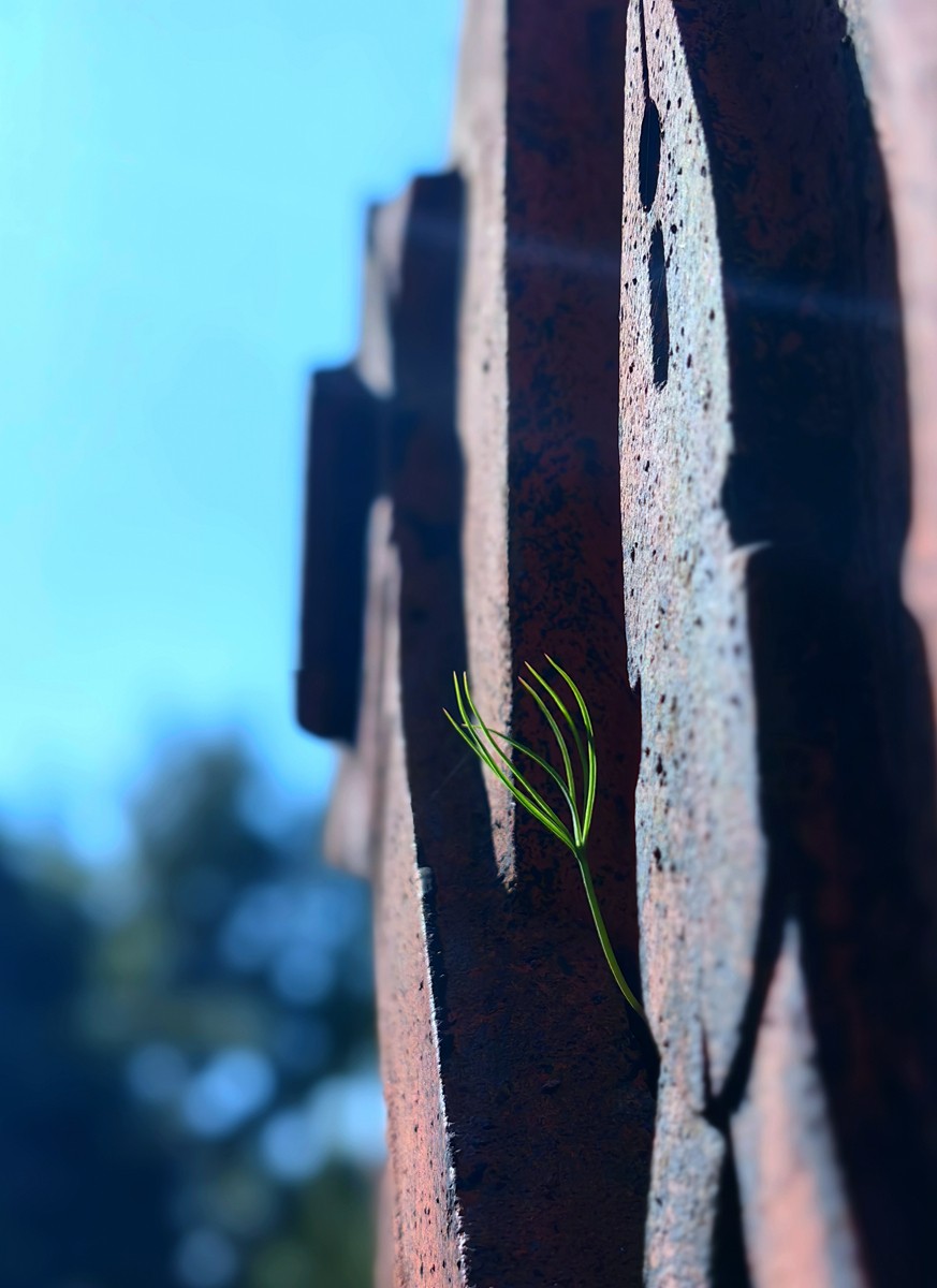 宁波帮公园随拍