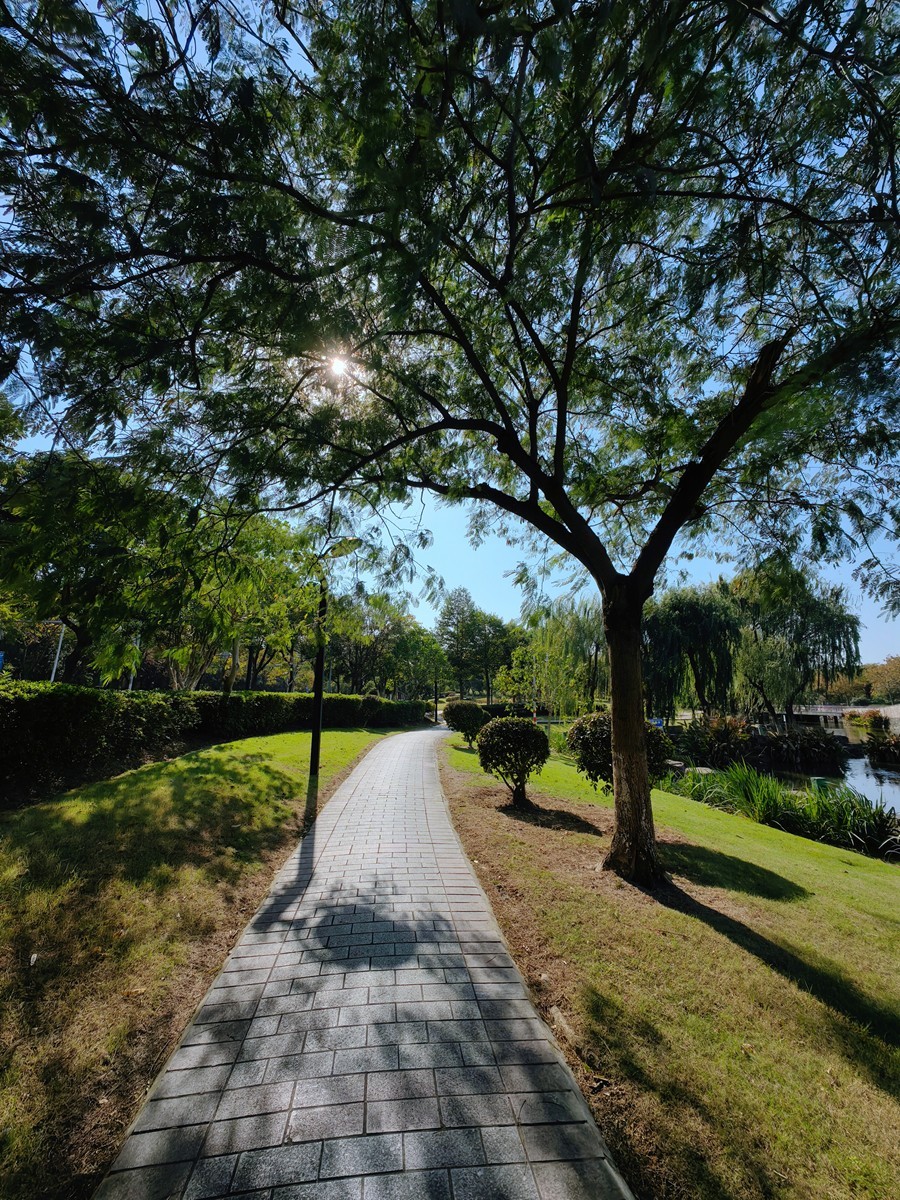 宁波帮公园随拍