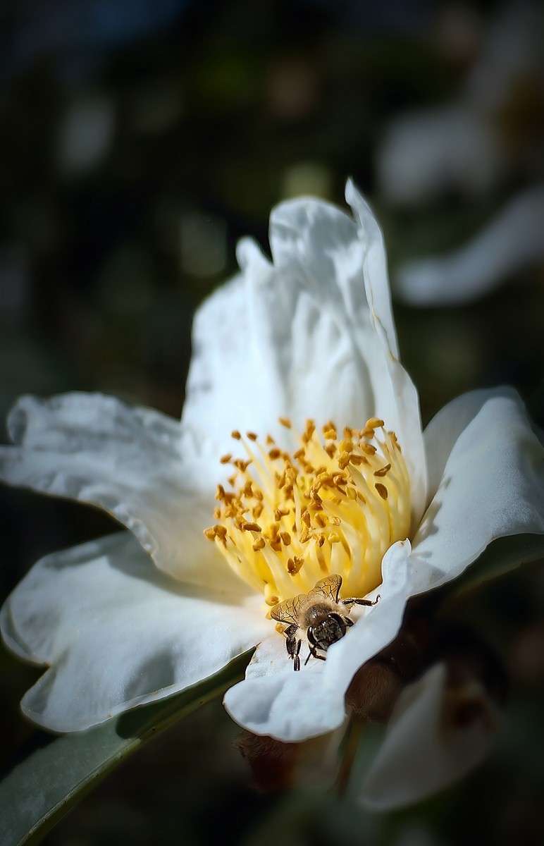 宁波帮公园随拍