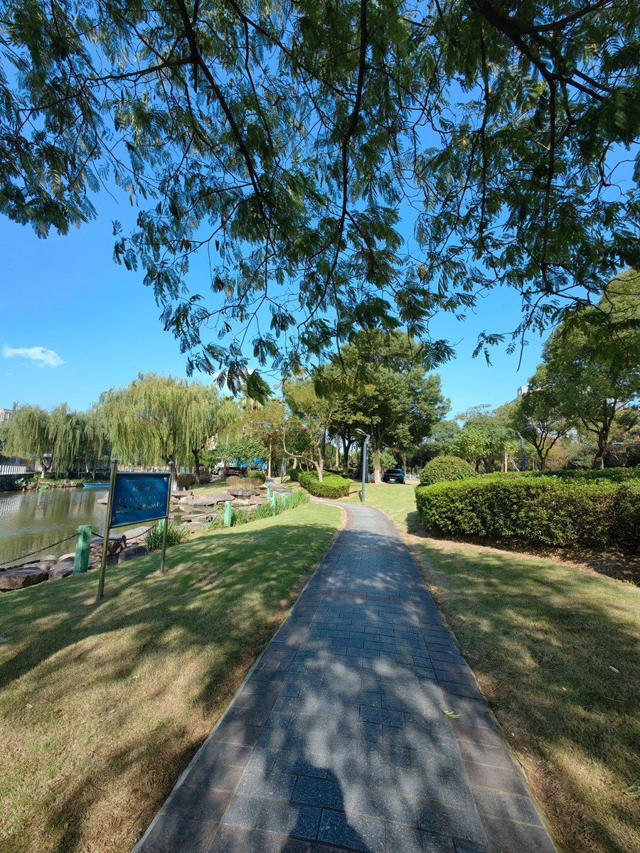 宁波帮公园随拍