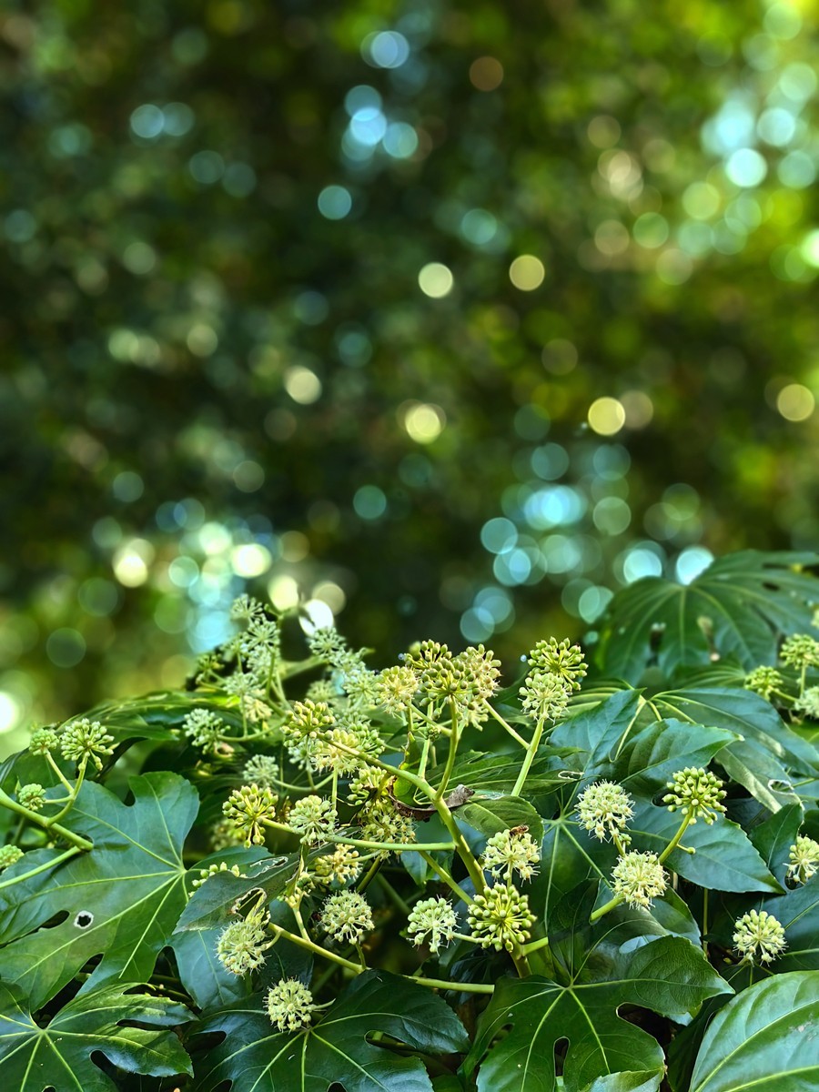 宁波帮公园随拍