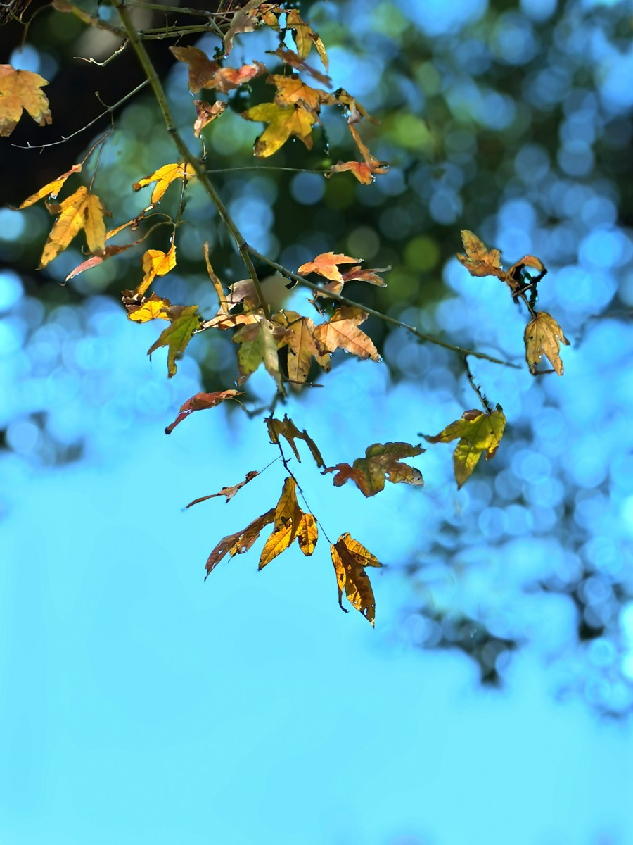 宁波帮公园随拍