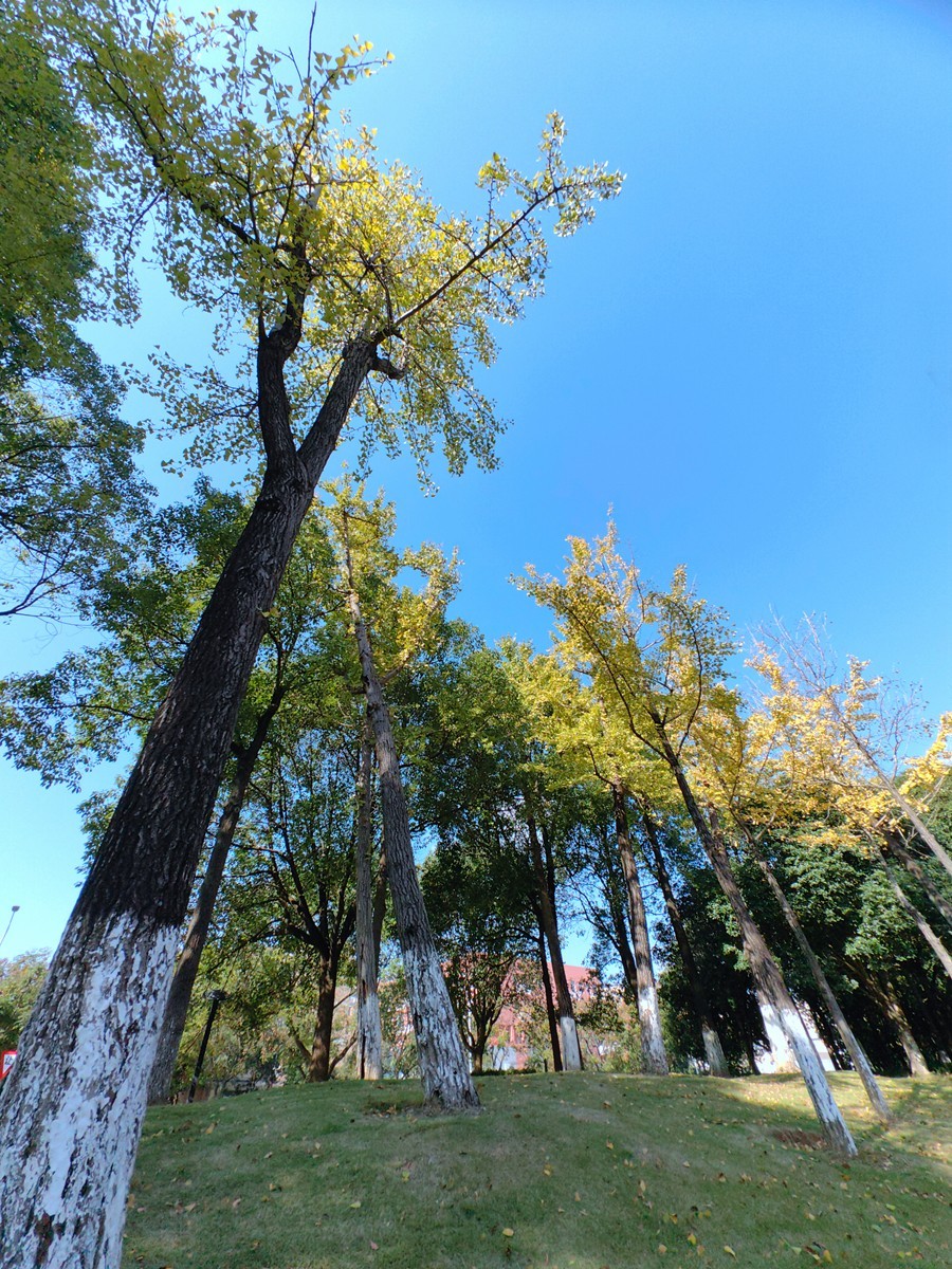 宁波帮公园随拍