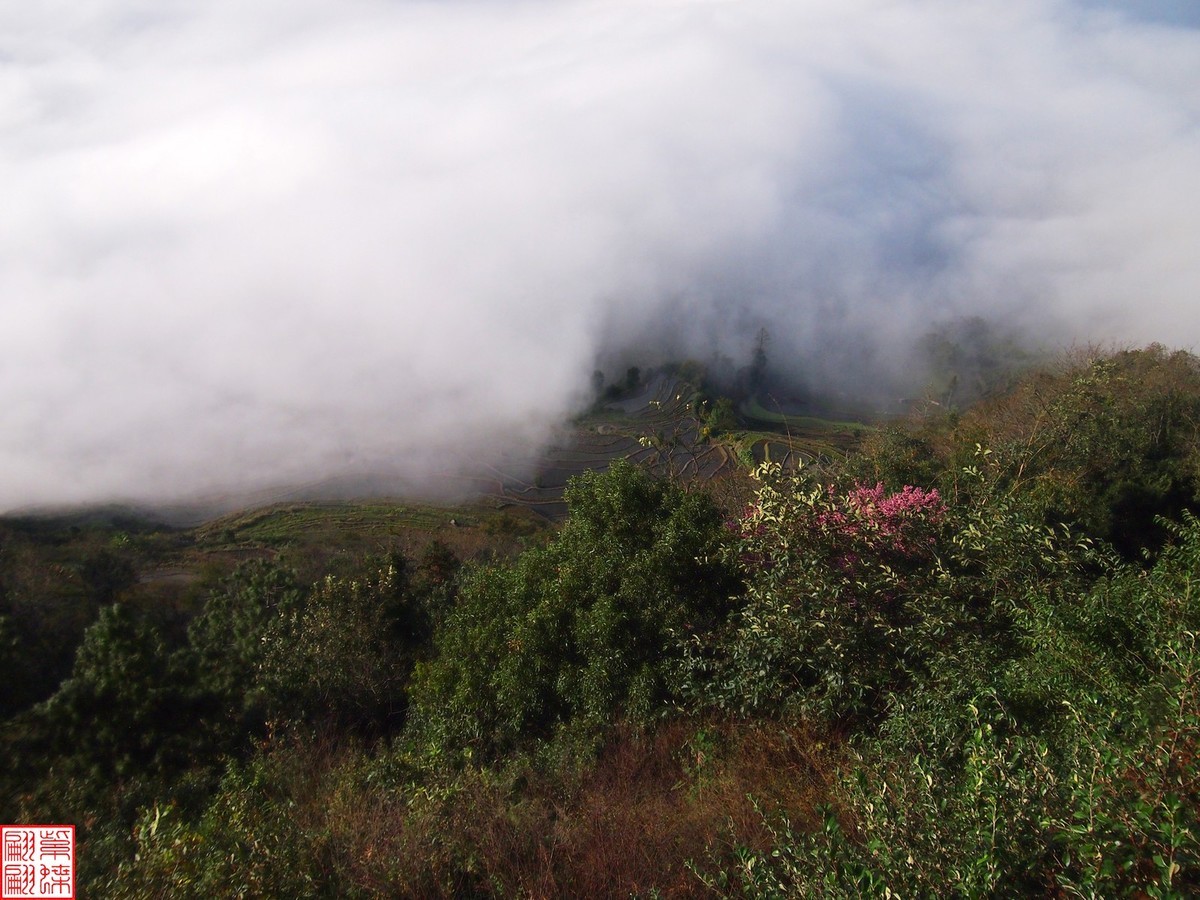 2023元阳梯田一路随拍（5）