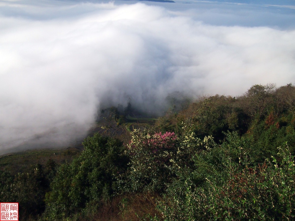 2023元阳梯田一路随拍（5）