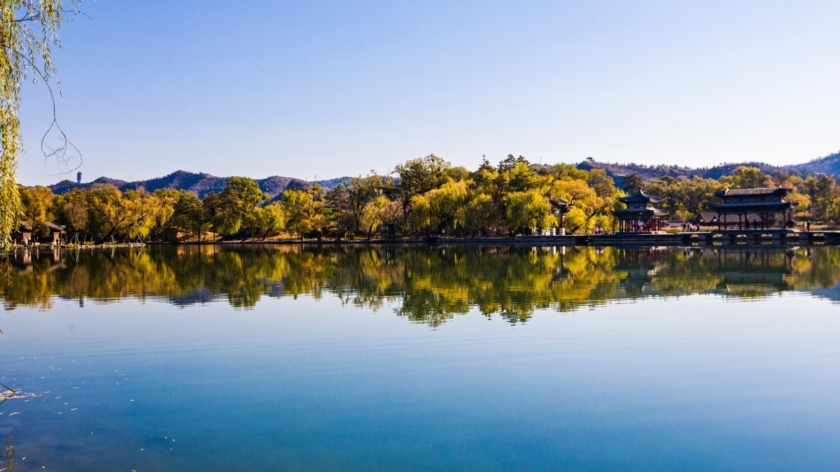 外出随拍（续333）.