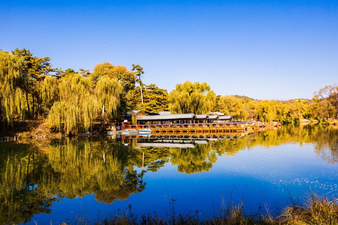 外出随拍（续333）.