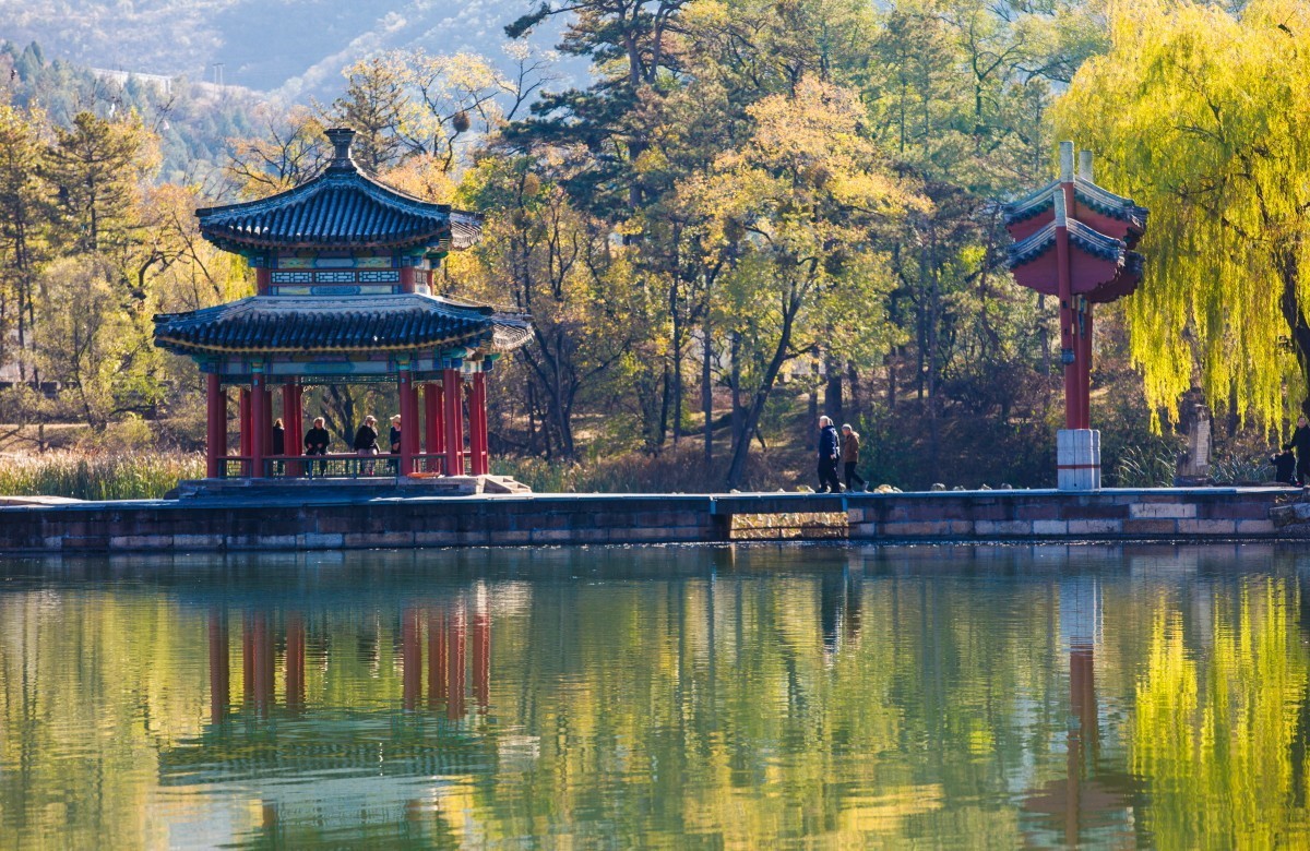 外出随拍（续333）.