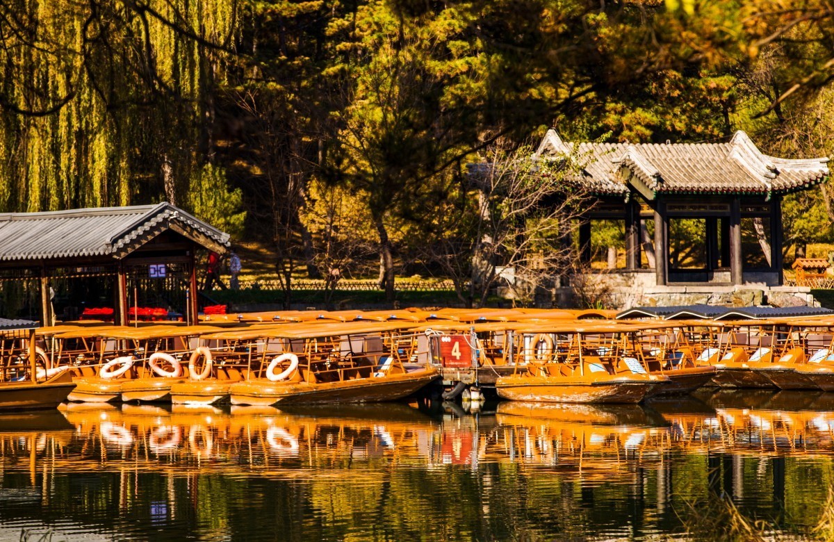 外出随拍（续333）.