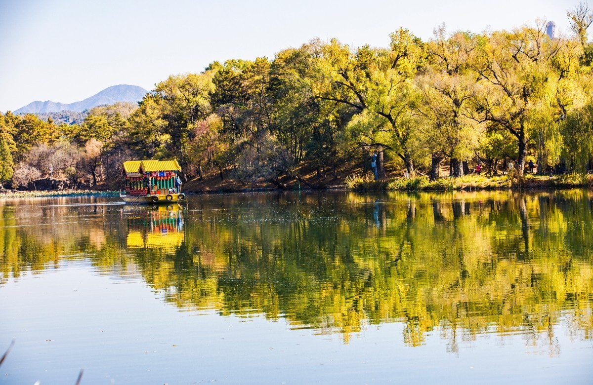 外出随拍（续333）.