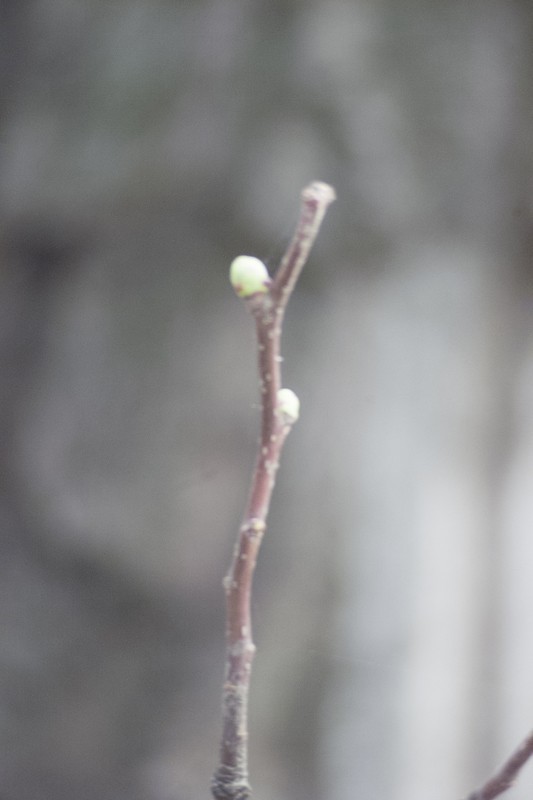 太原市龙潭公园（二）