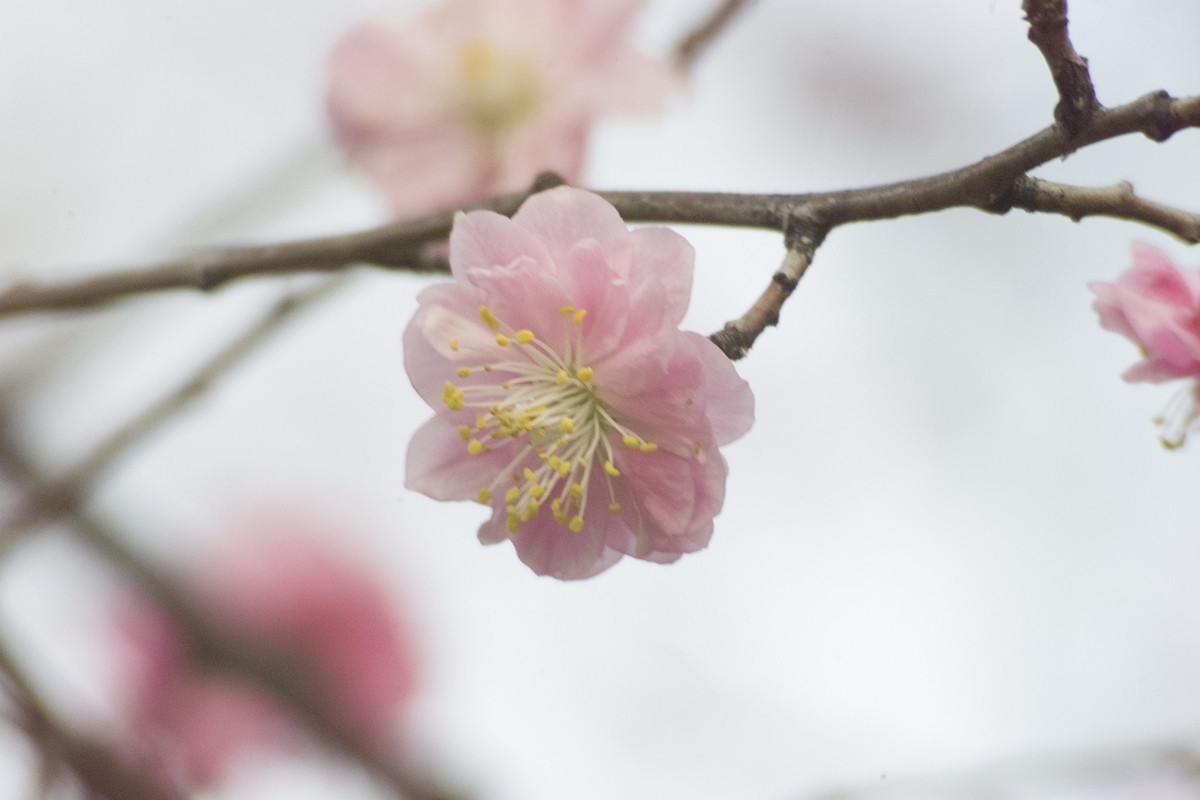 太原市龙潭公园（二）