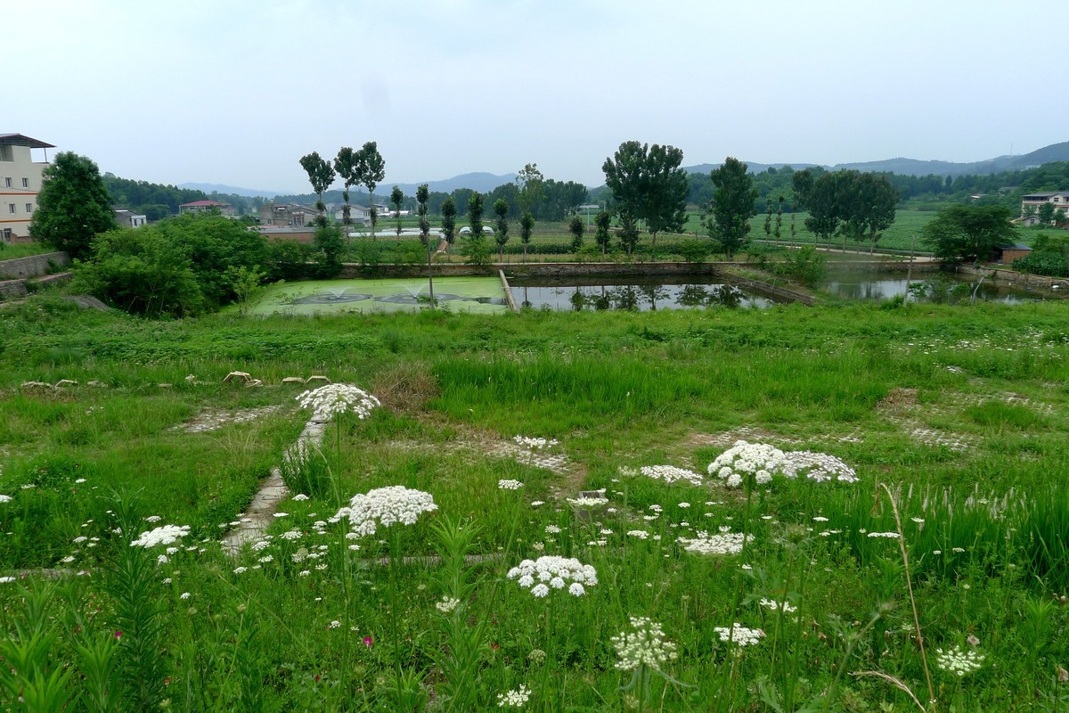 前进水库钓场，今天有人在这钓到了两只大甲鱼