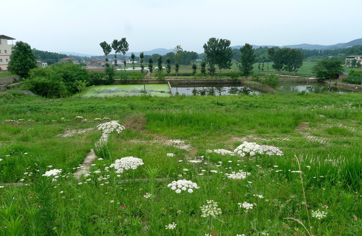 前进水库钓场，今天有人在这钓到了两只大甲鱼
