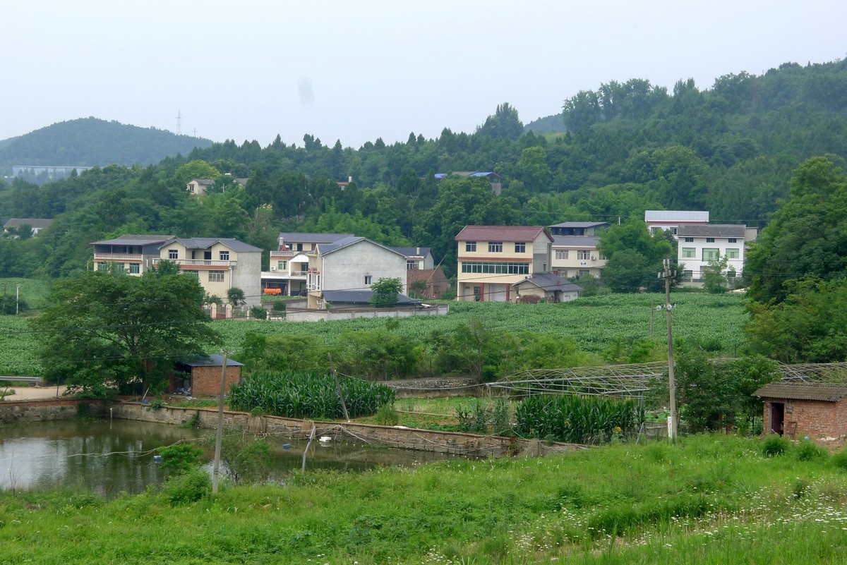 前进水库钓场，今天有人在这钓到了两只大甲鱼