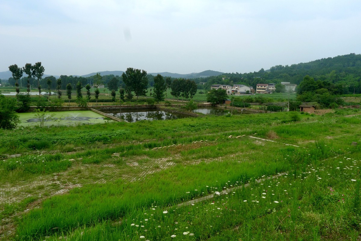 前进水库钓场，今天有人在这钓到了两只大甲鱼