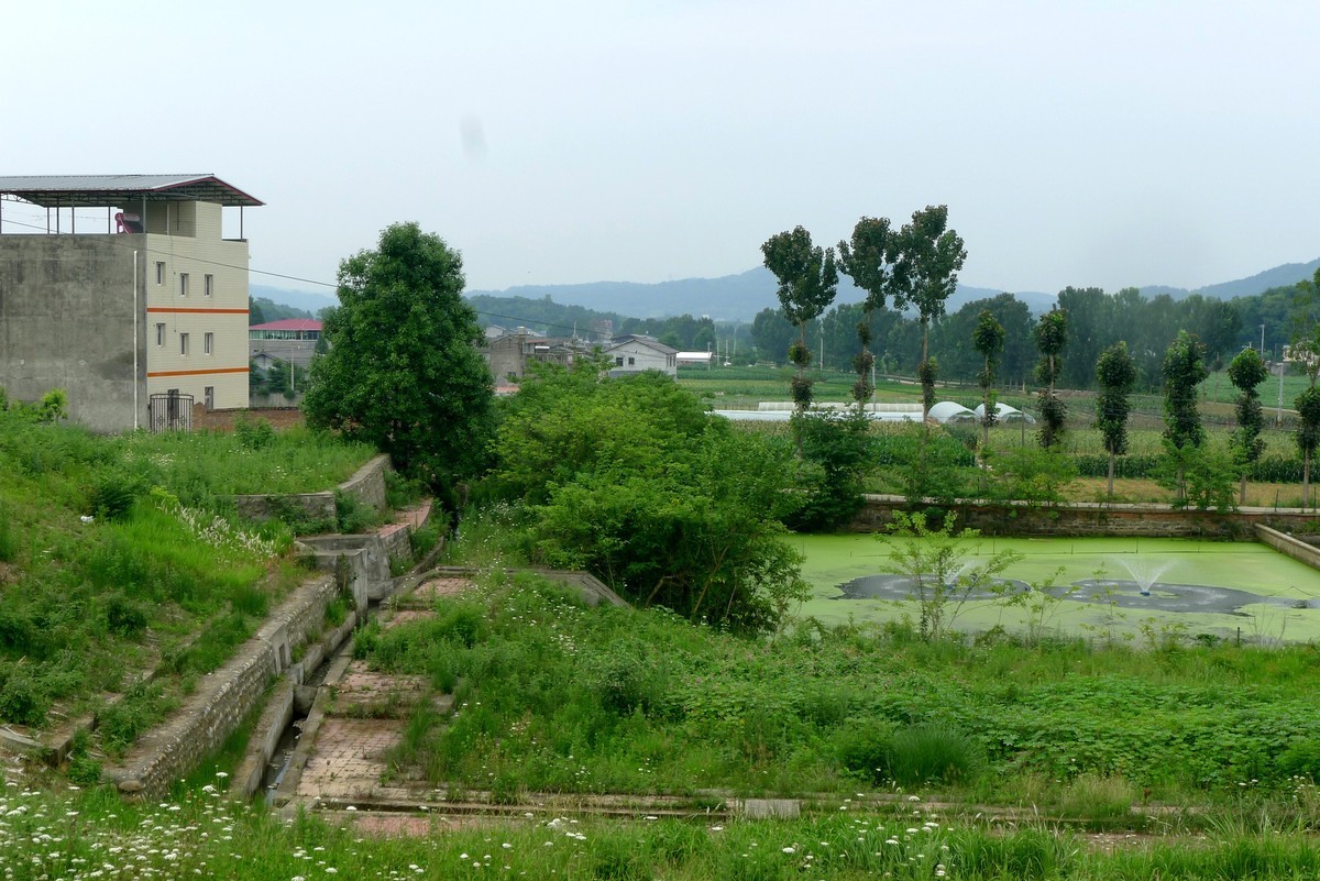 前进水库钓场，今天有人在这钓到了两只大甲鱼