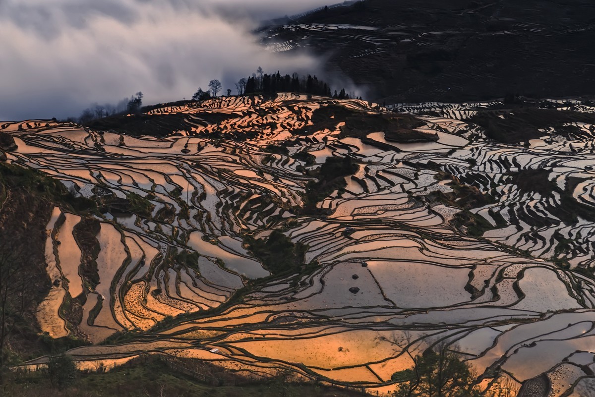 201901元阳多依树梯田告假