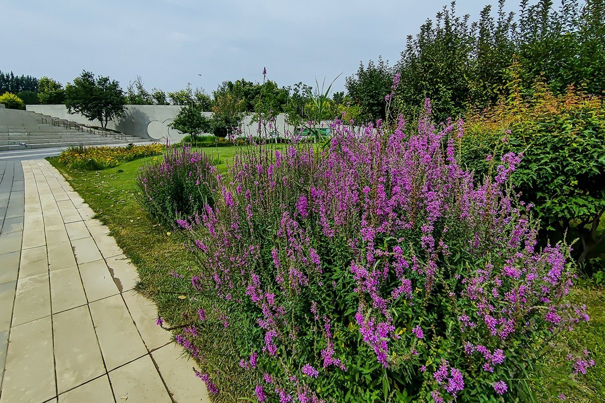 北京未来科学城滨水公园小景 二