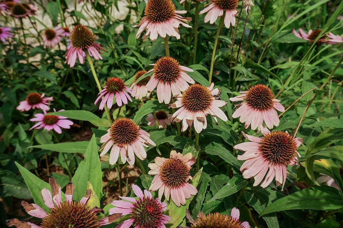 北京未来科学城滨水公园小景 二