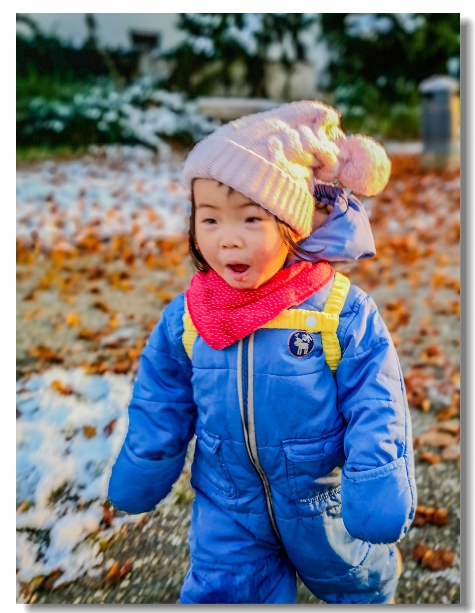 艾琳娜第一次玩雪（一岁半）