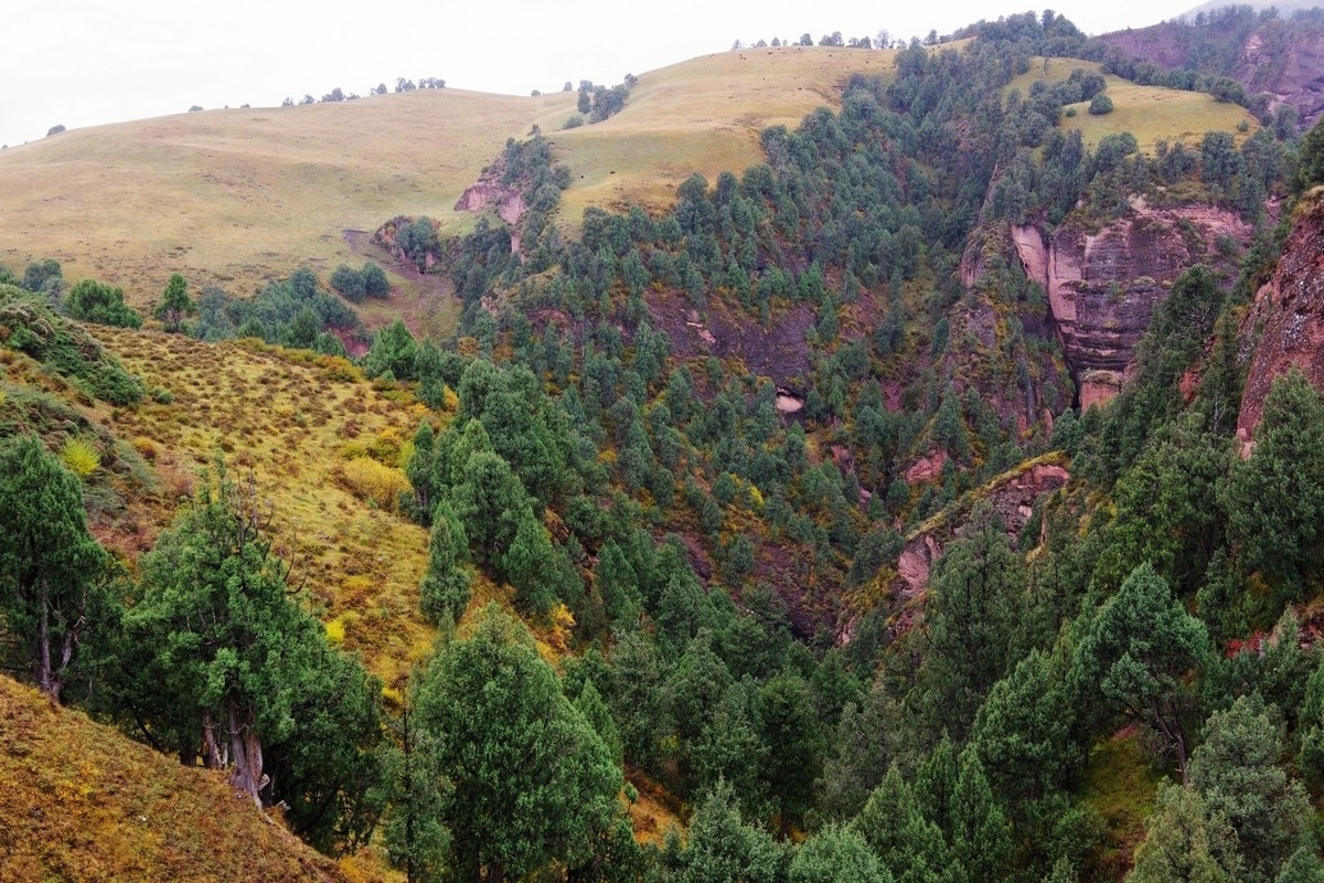 青海玛沁走同德的路上随拍