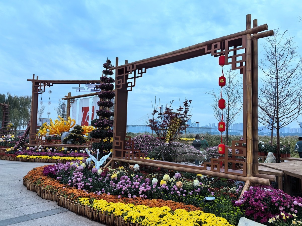 奔向未来*武汉第40届金秋菊展——武汉随笔