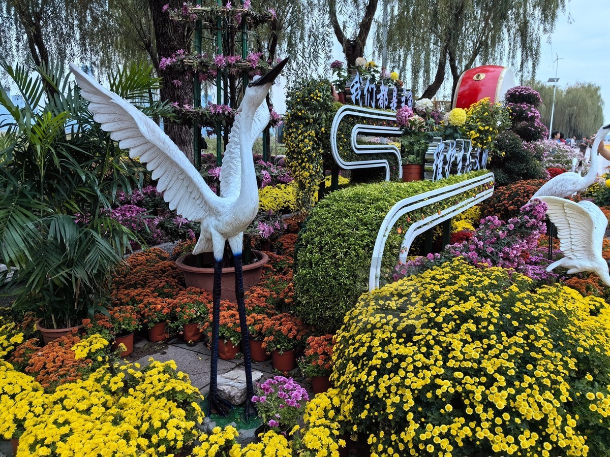 奔向未来*武汉第40届金秋菊展——武汉随笔