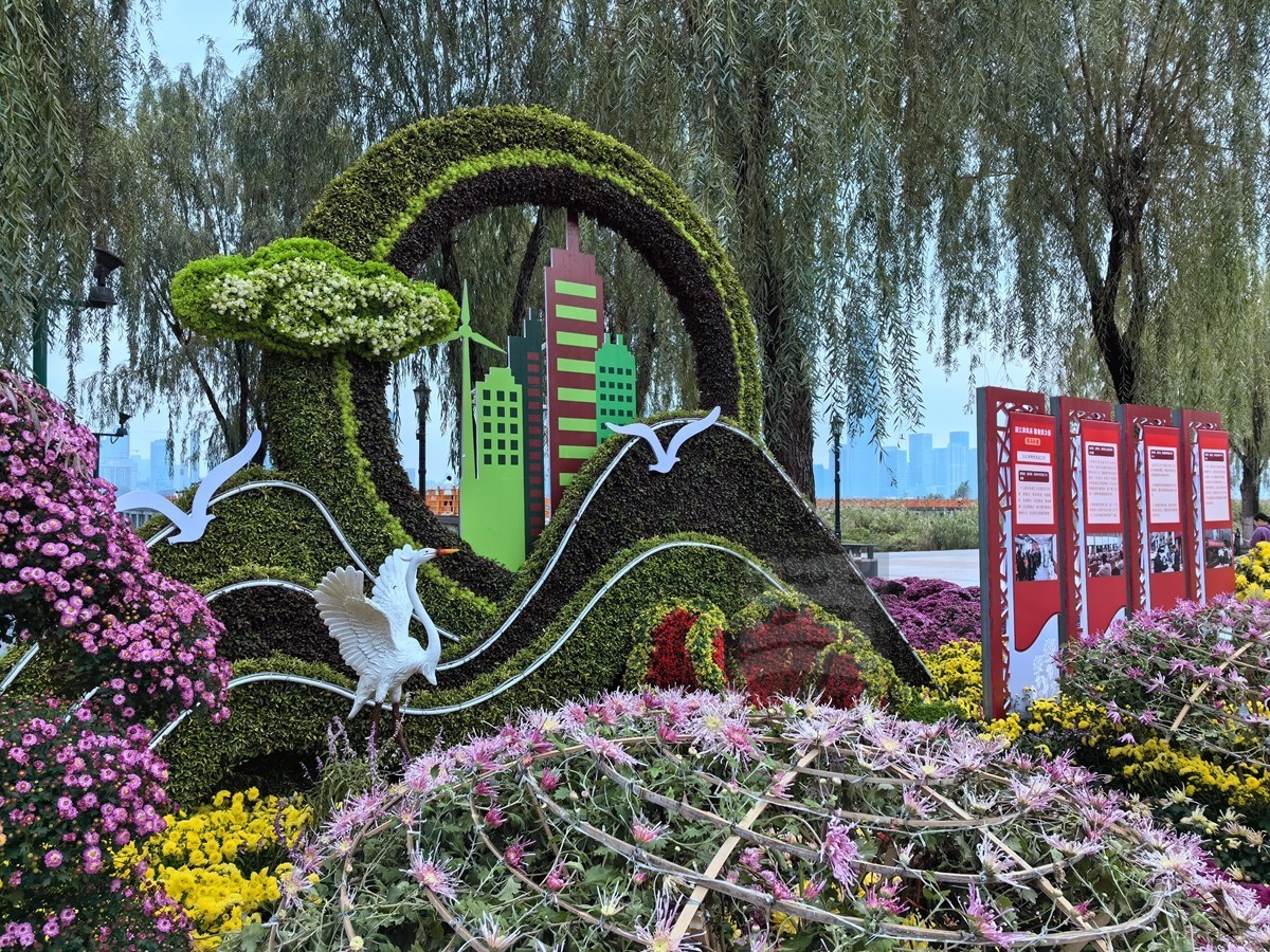 奔向未来*武汉第40届金秋菊展——武汉随笔