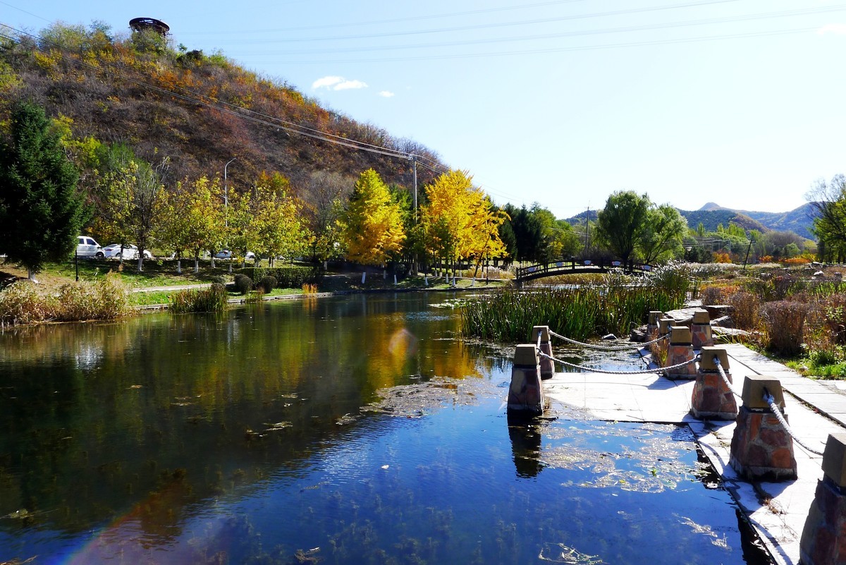 家乡湿地公园秋景