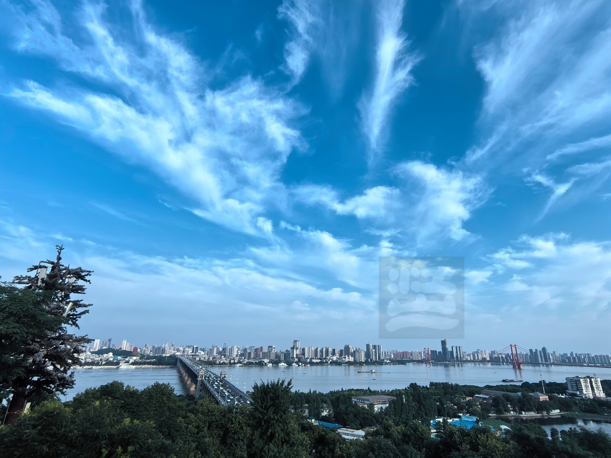 蝴蝶泉上看楚天*龟山——武汉随笔