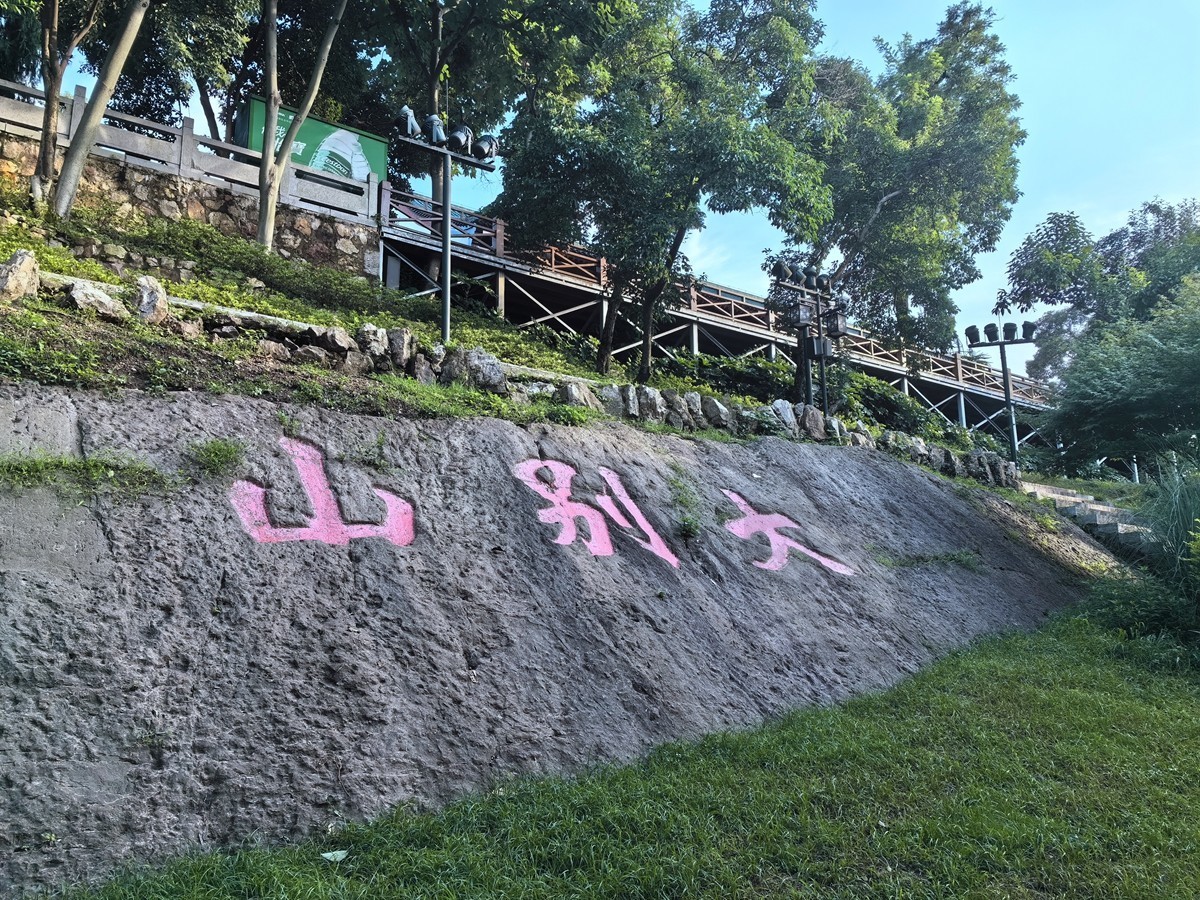 电视塔下*龟山——武汉随笔