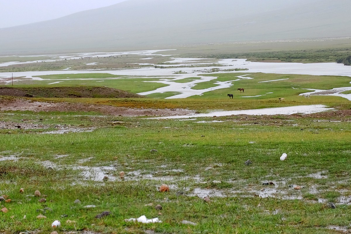 巴音布鲁克的记忆