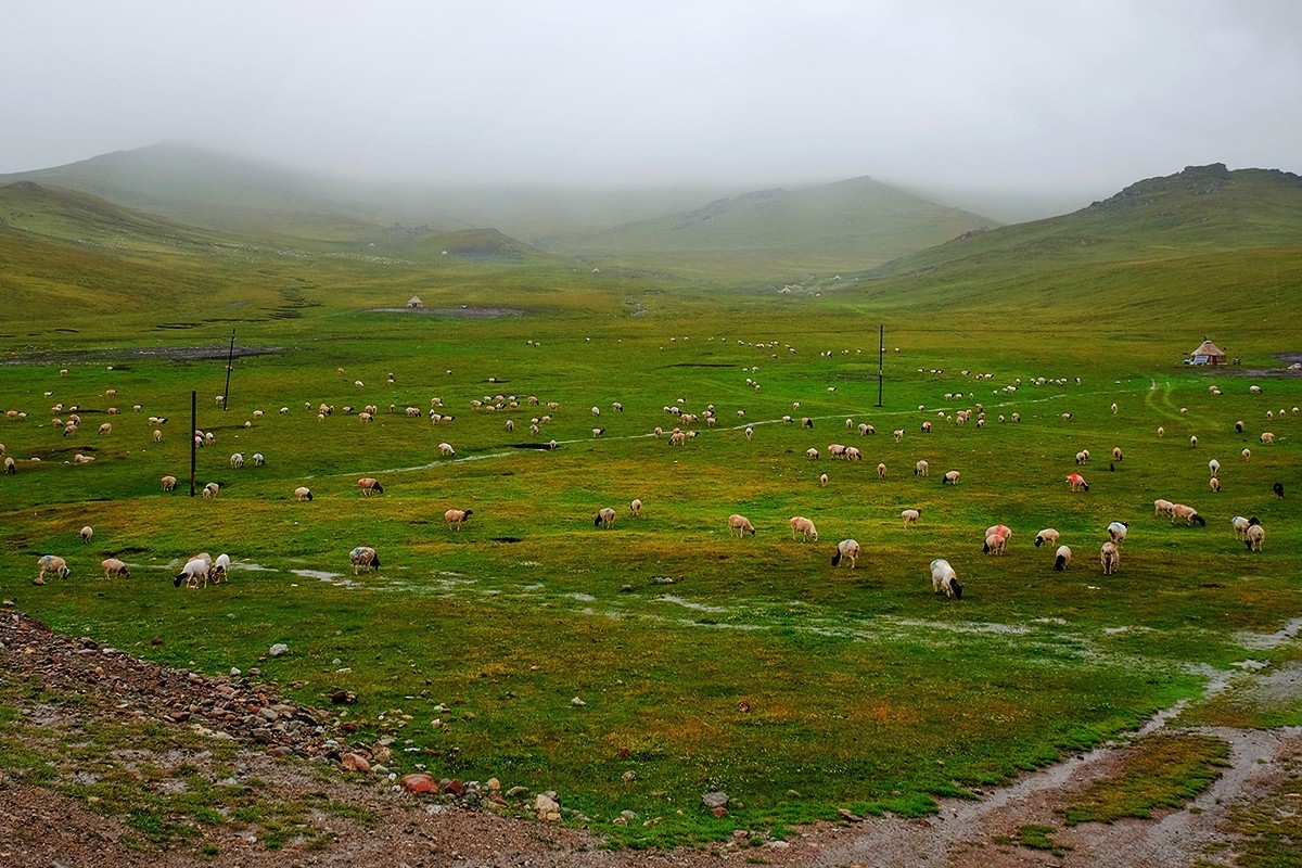 巴音布鲁克的记忆
